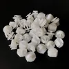 10 / 20pcs Abs blanc Abs Experte Clips de porte de porte Trim Panneau Clip Push Push Cover Stages pour Peugeot 106 206 306 307 806