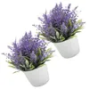 Flores decorativas 2 PCs Decoração de lavanda Fake Decorações