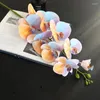 Dekoracyjne kwiaty ogrodowe sypialnia Pogografia Props Dekor Home Symulowany kolor 3D Druk Butterfly Orchid Wedding Party Desktop Ozdoby stacjonarne