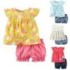 Byxor Floral Baby Girls 2pieces Kläder passar nyfödda Jumpsuits Girl's Blus Shorts Pants Children Dress Summer Toddler Outfit Bomull