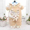 Broek peuter babykleding set winter baby jongens meisjes katoen warm pak voor baby kinderen casual fluwelen hoodies+slabib broek 2 stks pak