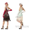 Stage Wear Vintage Dress Gatsby Ball Tassel Party Banquet Dance Toasting Small V Neck Costumes Latin Dresses