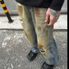 Amerikanischer Stil High Street Yellow Mud Harmed Delessed Lose Casual Jeans für Männer, die mit geradem Bein vielseitige Sommerhosen für Männer sind