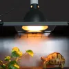 300W Tortoise Curved Heat Lamp Light Dome Holder Turtle Brooder Basking Set for Aquarium Amphibians Reptile Tortoise Lampshade