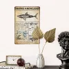 Haie Wissen Retro Metallzeichen Vintage Sharks Zeichen Wanddekoration Lustige Karte Wissen Zinn Zeichen Schule Populärwissenschaft