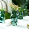 Glazen tafel vaas creatieve bloem vaas decoratieve glazen flessen heldere glazen vazen voor centerpieces home decor Noordse vaas