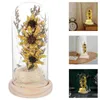 Decoratieve bloemen LED Microlandschaft glaskoepel licht Mini kunstmatige zonnebloemlamp met deksel -bureaublad ornament (geel) zonnebloemen