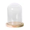 Вазы Cloche Bell Jar Terrarium Vhaycas