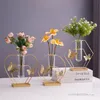 Vaso di vetro creativo nordico, disposizione dei fiori coltivati in acqua, soggiorno, camera da pranzo Studia da pranzo decorazione superiore, ferro, 1pc