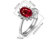 Cluster Rings 925 Silver Vintage Gemstone Ring Red 5A Zirconia For Women 18K Gold Plated Engagement Wedding Band Stud Earring
