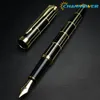 STONEGO Luxury Metal Fountain Pens with Ink Refill Converter Calligraphy Pens for Writing Drawing