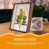 Frames Dried Flower Po Frame DIY Wooden A4 Picture Home Decor Supplies Display Stand Handmade Box Pressed