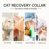Hundkläder Elizabeth Circle Collar For Pet Wound Heal Valp Cone Toy Cat Recovery Kitten Neck