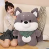 50/70/90 cm Shiba inu Dog Plashhie Toys carino marrone shiba inu con scraf peluche soft kids kawaii cuscino per bambini regali