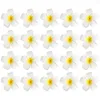 Decorative Flowers 20 Pcs Artificial Frangipani Plumeria Flower Clips Girls Hair Tiara Decor Women Accessory Barrette Headgear Nonslip