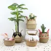 Wicker Basket Woven Seagrass for Plant Pot Organizer Laundry Picnic Basket for Bathroom Pets Toys Panier Osier seagrass basket