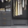 Cabinets Clothes Wardrobe Storage Handles Luxury Pole Shelf Divider Wardrobes Bedroom Women Armoires De Chambre Home Furniture
