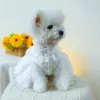 Hundekleidung Frühling Sommer Elegantes Spitzenhochzeitskleid für kleine mittelgroße Hunde Prinzessin mit Perlenbogendesign