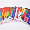 Sky Flag 25-65m 14x21cm 20x30cm 100-200 st länder Sträng flagga värld bunting bunting bar hemfest dekoration 240402