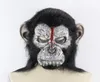 Planet Of The Apes Halloween Cosplay Gorilla Masquerade Mask Monkey King Costumes Caps Realistic Monkey Mask Y2001039905810