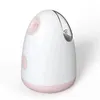 Spray Facial Steamer Nano Instrument d'hydratation par pulvérisation Petit Instrument de beauté d'humidificateur facial portable Instrument de beauté 240409