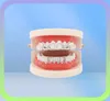 Lureen Hip Hop Hollow Out Gold Teeth Grills Dental Top Bottom Grills Fashion Halloween Party Vampire Teeth Caps Jewelry LD00031619297