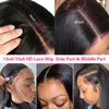 Straight full lace front wig pre-plucked 5x5 HD lace closure wig 13x6 lace front human hair wig 26 inches