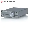 증폭기 Douk Audio NS04G 미니 클래스 D TPA3116 디지털 앰프 HIFI 50W+50W 홈 스피커 용 스테레오 오디오 AMP