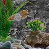 Tło płyta skalna akwarium w tle gady deski do czołgów szklane skały kamienne krajobraz fotografii ryba pu terrarium