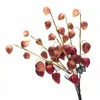 Flores decorativas Decoração de outono Cape Beoseberry Lantern Fruit 70cm Home Table Nature Nature Flower Plant Floral Event Party -