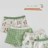 Shorts Children's Underwear Baby Panties Boys Cotton Briefs Cartoon Pattern Four Seasons Shorts Soft Ventilate Boxers Fit 211Y