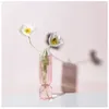 VAZAS ROOM Decor Glass Jarrones Decorativos Moderno Decoratie Home Vasi Flower Vaas voor Gift Wazony Deco Chambre Terrarium