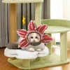 Habillement de chien chat chapeau de compagnie de compagnie cosplay costume coathear accessoire accessoire drôle