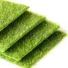 Aquarium Accessory Versatile And Multifunctional Non-toxic 15cm Moss Mat For Aquarium Artificial Grass Mat Aquatic Plants Trendy