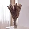 Fleurs décoratives Dékoration 80pcs Pampas Grass Christmas Luxury Articles pour les accessoires de décoration intérieure Mariage Table et Salle