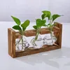 Vasi di legno Piante idroponiche piante vasi decorazione bonsai decorazione fiore trasparente decorazione per la casa in vetro