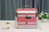 Makeup Box Artist Beauty Cosmetic Case Case Make Up Borse Tattoo Multilayer Toolbox Organizer Organizzatore di gioielli 240329