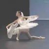 Bühne tragen Erwachsene weiße professionelle Ballett Tutu Frauen Tanzwettbewerb Kostüm Figur Skating Kleid Swan Lake Girls