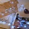 Sznurek LED Fairy Lights Zielony drut Outdoor Klaster Choinka Light