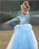 1pcs bambina abito principessa vestito dolce costumi cosplay eseguire vestiti di abbigliamento ad abiti da ballo a piena festa piena di bambini CLO4756250