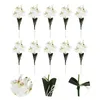 Dekoracyjne kwiaty Orchid Flower Sems Mini Phalaenopsis Wedding Decorations Białe sztuczne storczyki na żywo