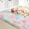 Tapis arc-en-ciel moelleux pour filles chambre à coucher de chambre douce pour adolescents girls enfants chambre bébé chambre de jeu mignon salle de décoration de chambre