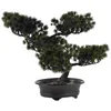 Decorative Flowers Simulated Bonsai Decor Bedroom Desk Welcome Song Office Fake Plastic Small Plants For Tree Artificial