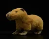 Simulering söt capybara mjuk plysch leksak verkliga liv hydrochoerus hydrochaeris dollmodell djur barn födelsedagspresent 31 cm q07277645161