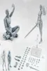 20 Malefemale Body Kun Doll Pvc BodyChan Dx Action Play Art Figure Modèle Dessin pour les figurines SHF Miniatures Gray Set Toy 20123967076