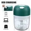 Ginger Masher Machine Chili Vegetable Crusher 100/250ml Mini Electric Aime Chopper Kitchen Tools USB Charge