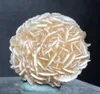 120 g de désert naturel Rose Sélénite guérison Spécime de minéral en pierre de cristal brut Cluster rugueux Fengshii décor Reki4327757