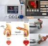 ESWT -Stoßwellen -Therapiemaschinen Elektromagnetische extrakorporale Schockwellen -Schmerzbehandlungssysteme und erektile Dysfunktion Behandlung3749551