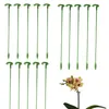 Växtstöd Stakes Garden Single STEM Flower Support Stake Amaryllis Plant Cage Support Plastic Flower Stand