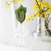 Vasos 2 pcs vaso flores delicada decoração de casa adorável artesanato de vidro Office criativo